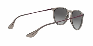 Ray Ban Erika 4171 65138G 54 en internet
