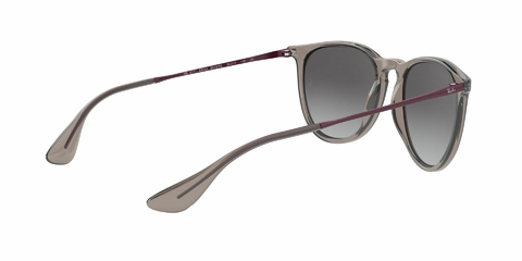 Ray Ban Erika 4171 65138G 54 en internet