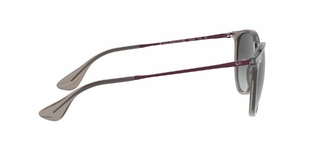 Ray Ban Erika 4171 65138G 54 - Tecni-Optica