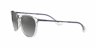 Ray Ban Erika 4171 651611 54 en internet