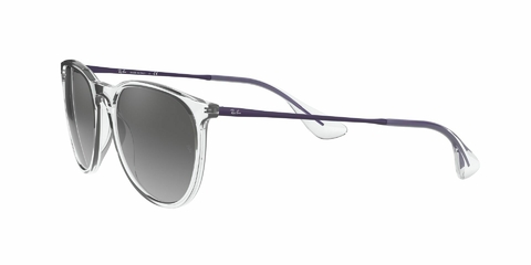 Ray Ban Erika 4171 651611 54 en internet