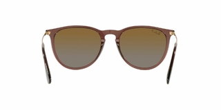 Ray Ban Erika Polarizado 4171 6593T5 54