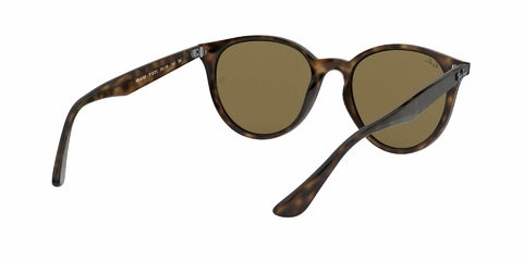 Ray Ban 4305 71073 en internet