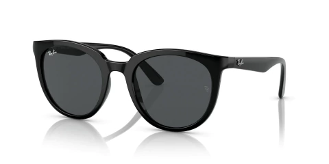 Ray Ban Negro 4383 601/87 53 en internet