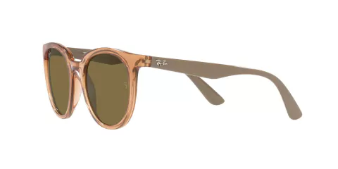 Ray Ban 4383 662773 53 en internet