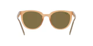 Ray Ban 4383 662773 53