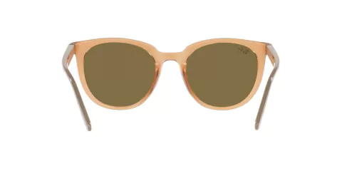 Ray Ban 4383 662773 53