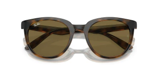 Ray Ban Carey 4383 710/73 53 - comprar online
