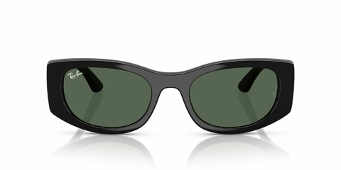 Ray Ban 4446 667771 54