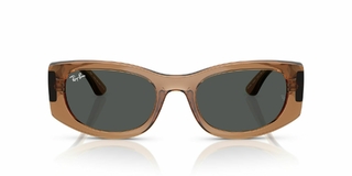 Ray Ban 4446 678487 54