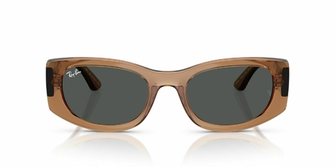 Ray Ban 4446 678487 54