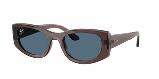 Ray Ban 4446 678580 54 en internet