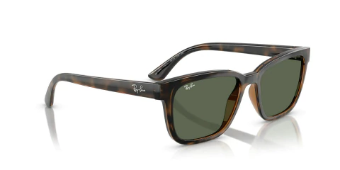 Ray Ban 4448 710/71 Habana Oscuro - Tecni-Optica