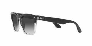 Imagen de Ray Ban Steve 4487 66308G 54