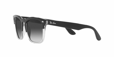Imagen de Ray Ban Steve 4487 66308G 54