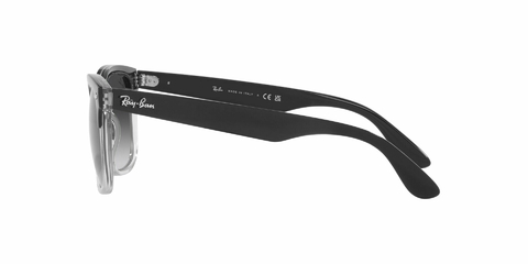 Ray Ban Steve 4487 66308G 54