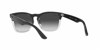 Ray Ban Steve 4487 66308G 54 en internet