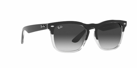 Ray Ban Steve 4487 66308G 54 en internet