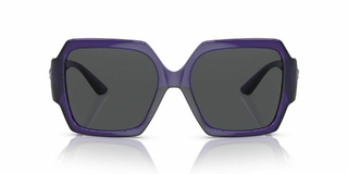 Imagen de Versace 4453 541987 56