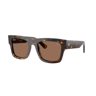 Ray Ban 2217 Home Race Special Edition 61373