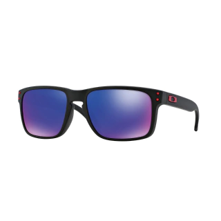 Oakley Holbrook 9102 36