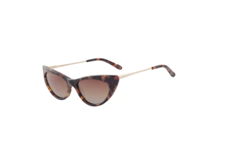 Mariana Arias 1203 Tortoise