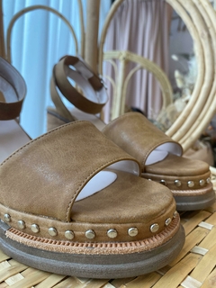 Sole camel en internet