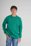 BUZO FRISADO CUELLO REDONDO VERDE - comprar online