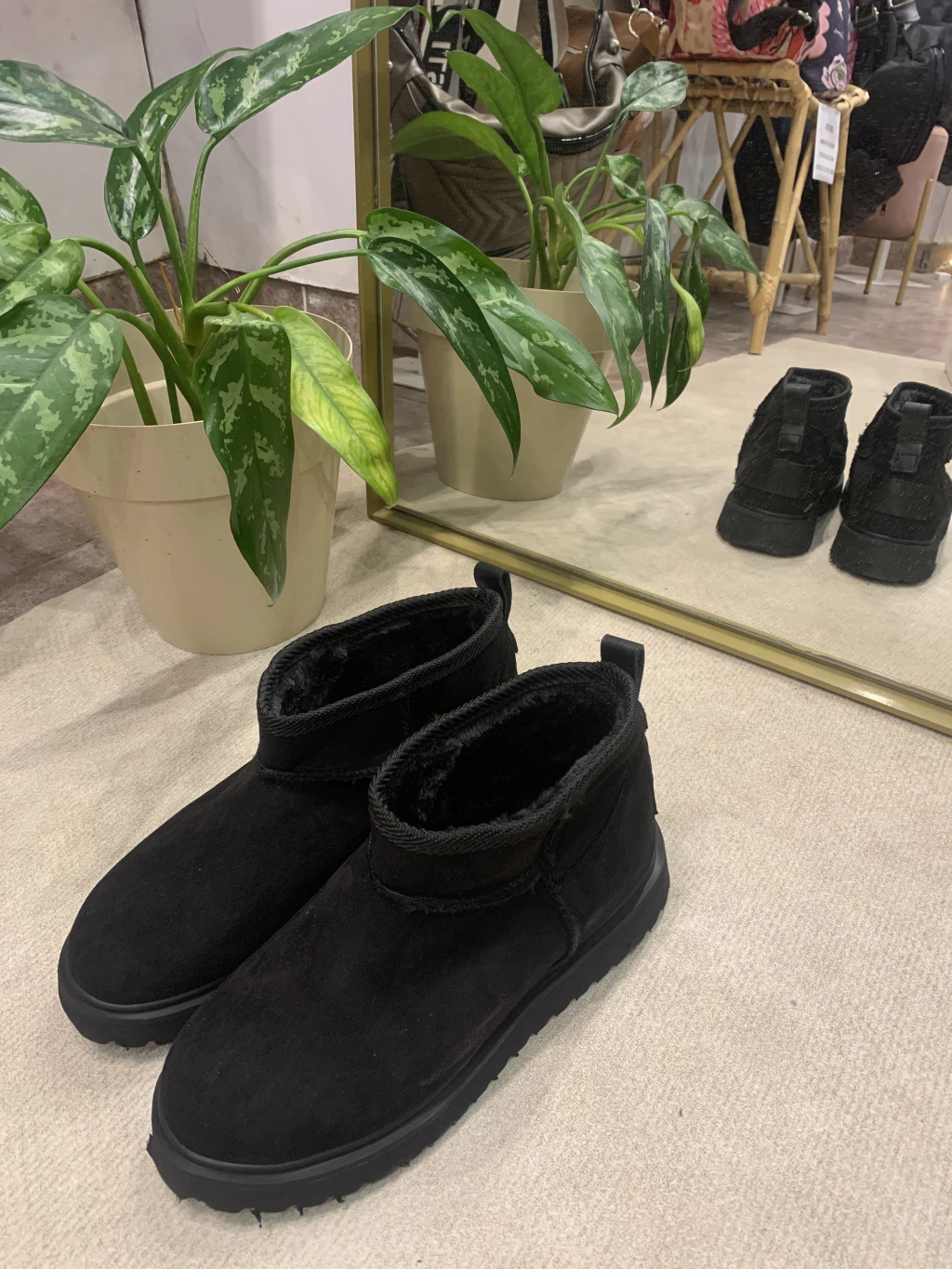 Pantubota NEVA