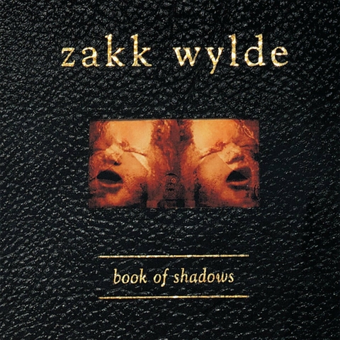 ZAKK WYLDE LP BOOK OF SHADOWS VINIL COKE BOTTLE CLEAR W/ WHITE SPLATTER (2LP) 2022 - comprar online