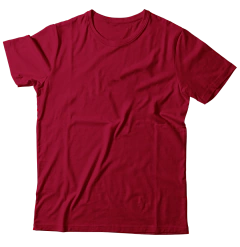 Remera Lisa Algodón Peinado 24.1 - tienda online