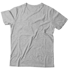 Imagen de Remera Lisa Algodón Peinado 24.1