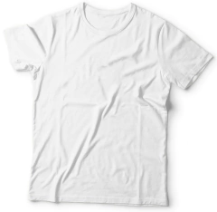 Remera Lisa Algodón Peinado 24.1 - comprar online