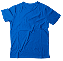 Remera Lisa Algodón Peinado 24.1