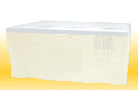 Caixa Térmica de Isopor Isoterm 170lt - comprar online