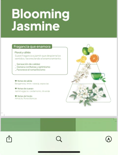 BODY LOTION BLOOMING JASMINE - KIKI BATH & BODY - IDRAET - comprar online