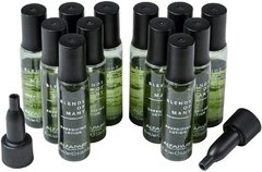 SET X 12 AMPOLLAS ALFAPARF BLENDS OF MANY X 10 ML - comprar online