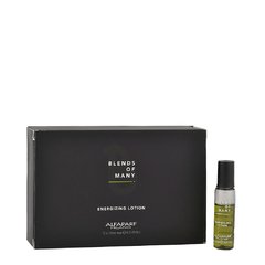 SET X 12 AMPOLLAS ALFAPARF BLENDS OF MANY X 10 ML