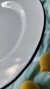 Plato enlozado actual pesado 25 cm diámetro. Pueden presentar algún tipo de detalle, propio de su fabricación que no afecta su uso. - comprar online