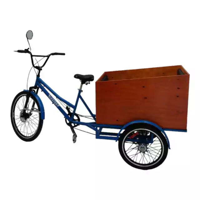 Triciclo Carga Trasera Transporte de niños