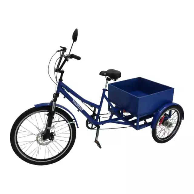 Triciclo de paseo - comprar online