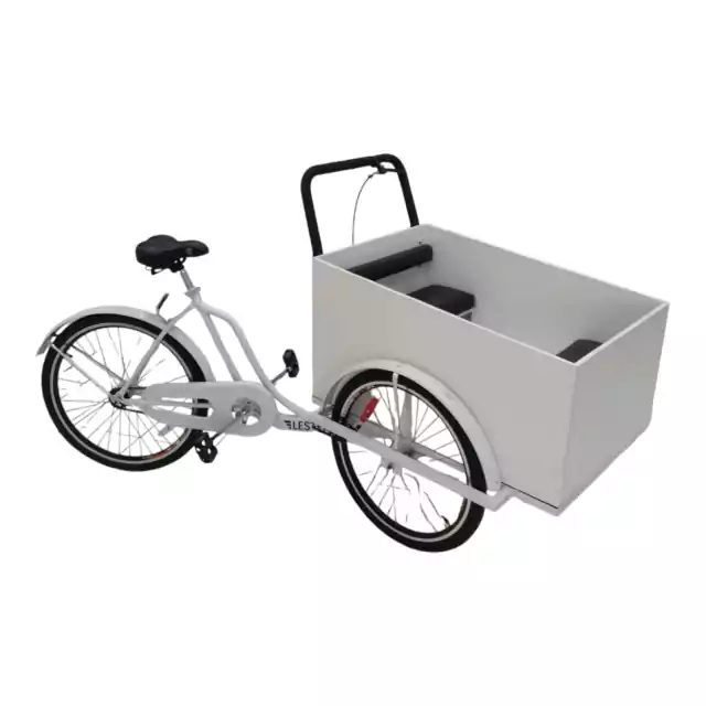 Triciclo Carga Delantera Transporte de Niños