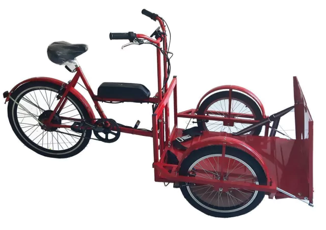 Triciclo Eléctrico para Transporte Silla de Ruedas