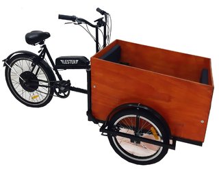 Triciclo Eléctrico Delantero Transporte de Niños
