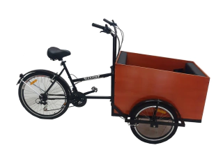 Triciclo Carga Delantera Transporte Niños