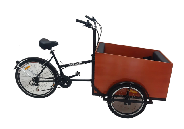 Triciclo Carga Delantera Transporte Niños