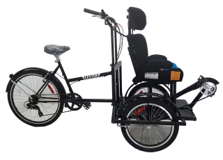 Triciclo Adaptado Rehabilitación con Butaca - comprar online