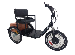 Triciclo Eléctrico individual