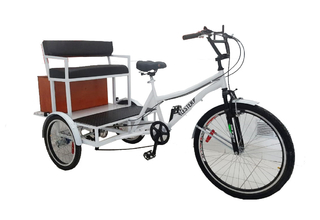 Triciclo Adaptado Butaca Doble Trasera - comprar online