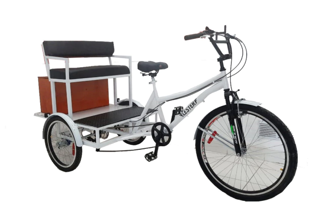 Triciclo Adaptado Butaca Doble Trasera - comprar online